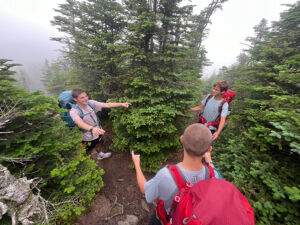 trail hiking