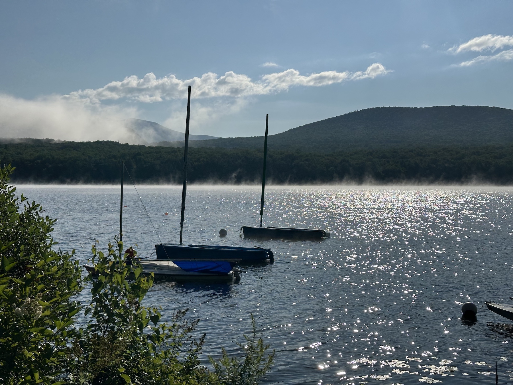 August in the Air